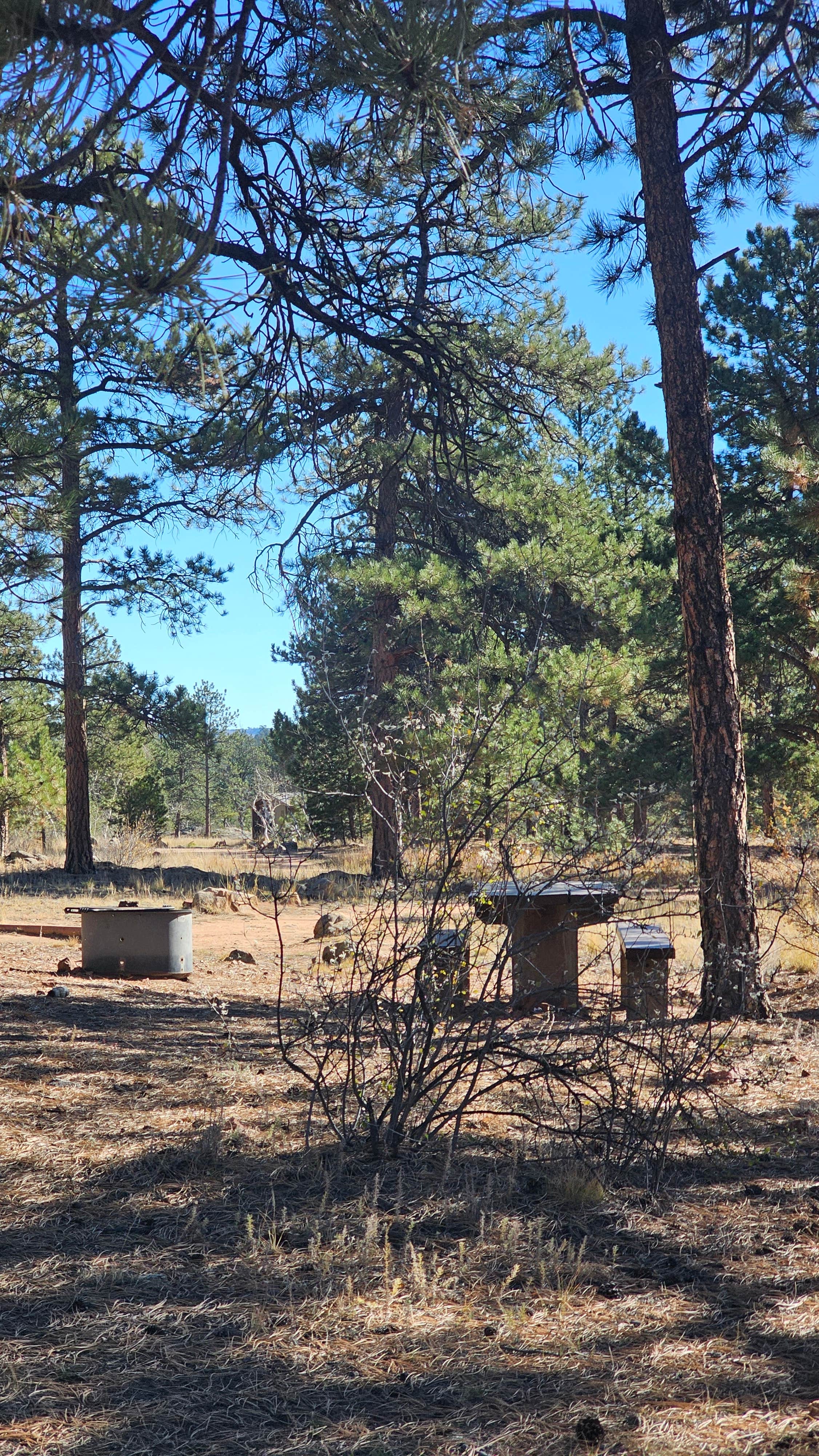 Camper-submitted photo at Round Mountain near Pike and San Isabel National Forests and Cimarron and Comanche National Grasslands