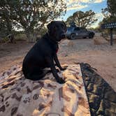 Review photo of Saddlehorn Campground — Colorado National Monument by Meredith M., September 27, 2026