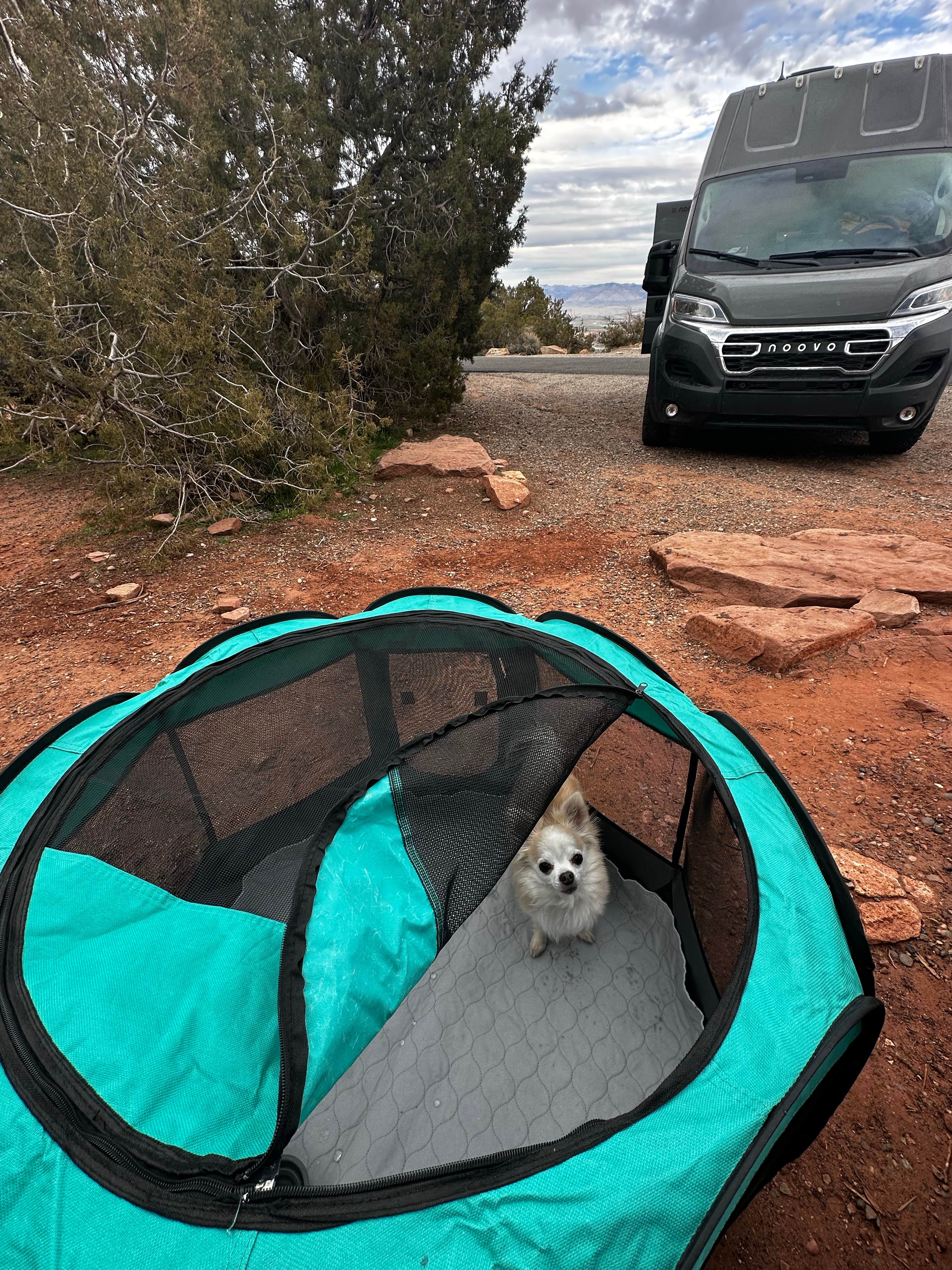 Stacie W.'s photo at Saddlehorn Campground — Colorado National Monument near Grand Junction, CO