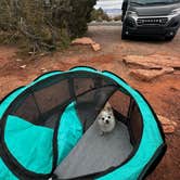 Review photo of Saddlehorn Campground — Colorado National Monument by Stacie W., November 12, 2025