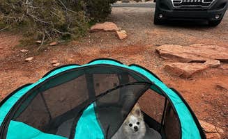 Stacie W.'s photo at Saddlehorn Campground — Colorado National Monument near Fruita, CO