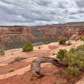 Review photo of Saddlehorn Campground — Colorado National Monument by Roger A., May 19, 2025