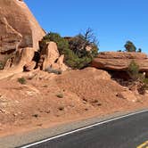 Review photo of Saddlehorn Campground — Colorado National Monument by Randy D., March 9, 2025