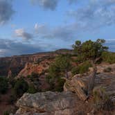 Review photo of Saddlehorn Campground — Colorado National Monument by Maureen G., July 26, 2026