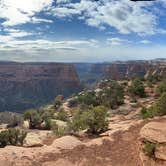 Review photo of Saddlehorn Campground — Colorado National Monument by Randy D., March 9, 2025