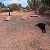 Review photo of Saddlehorn Campground — Colorado National Monument by Meredith M., September 27, 2026