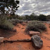 Review photo of Saddlehorn Campground — Colorado National Monument by Meredith M., September 27, 2026