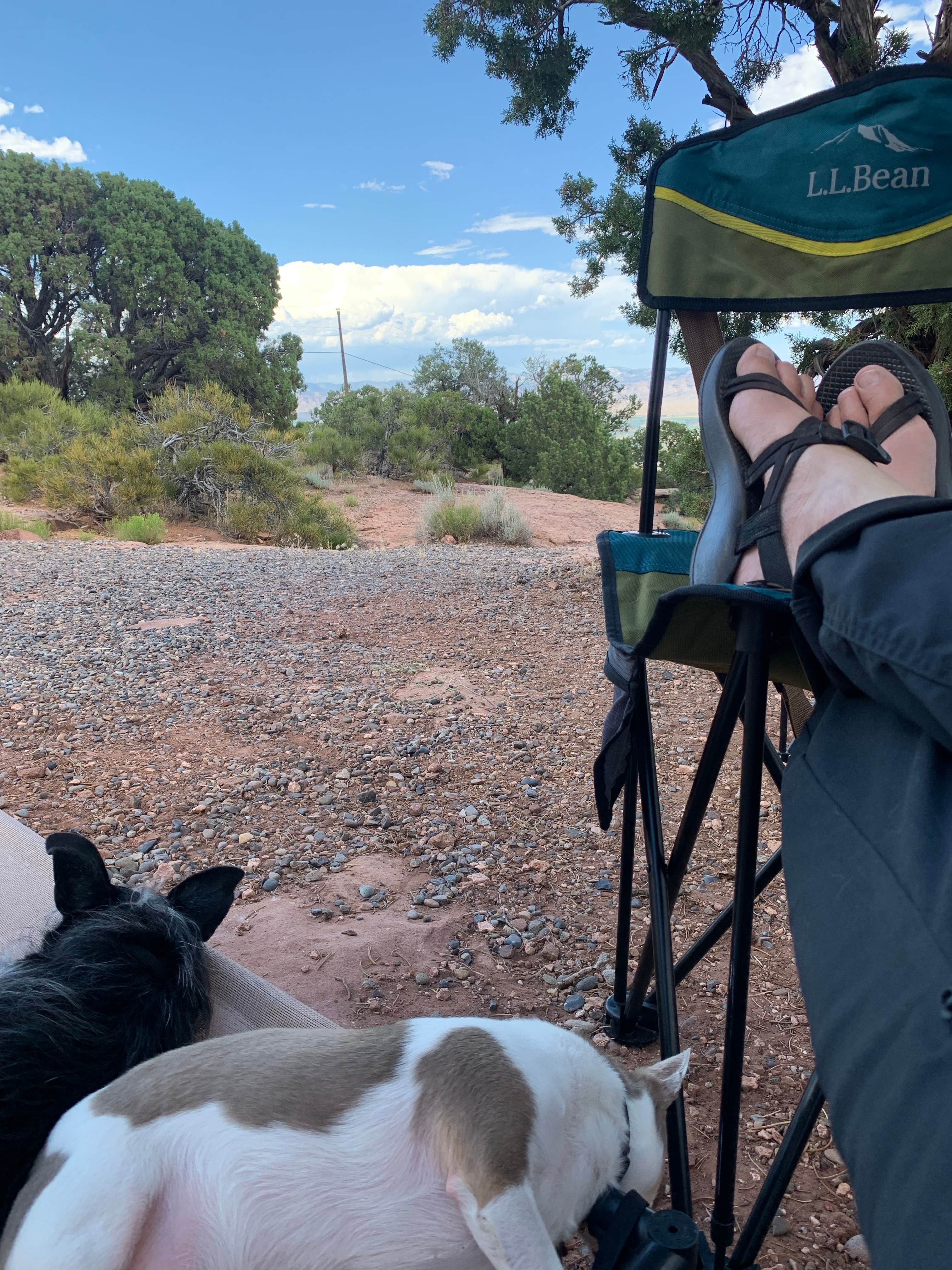 lisa R.'s photo of camping with pets at Saddlehorn Campground — Colorado National Monument near Grand Junction, CO