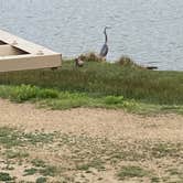 Review photo of St. Vrain State Park Campground by Kim B., September 16, 2023