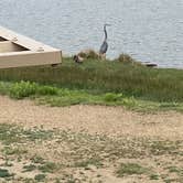 Review photo of St. Vrain State Park Campground by Kim B., September 16, 2023