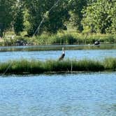 Review photo of St. Vrain State Park Campground by Kim B., September 16, 2023