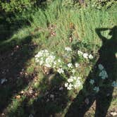 Review photo of Sand Gulch Campground by cali N., August 11, 2024