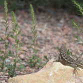 Review photo of Sand Gulch Campground by cali N., August 11, 2024