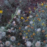 Review photo of Sand Gulch Campground by cali N., August 11, 2024