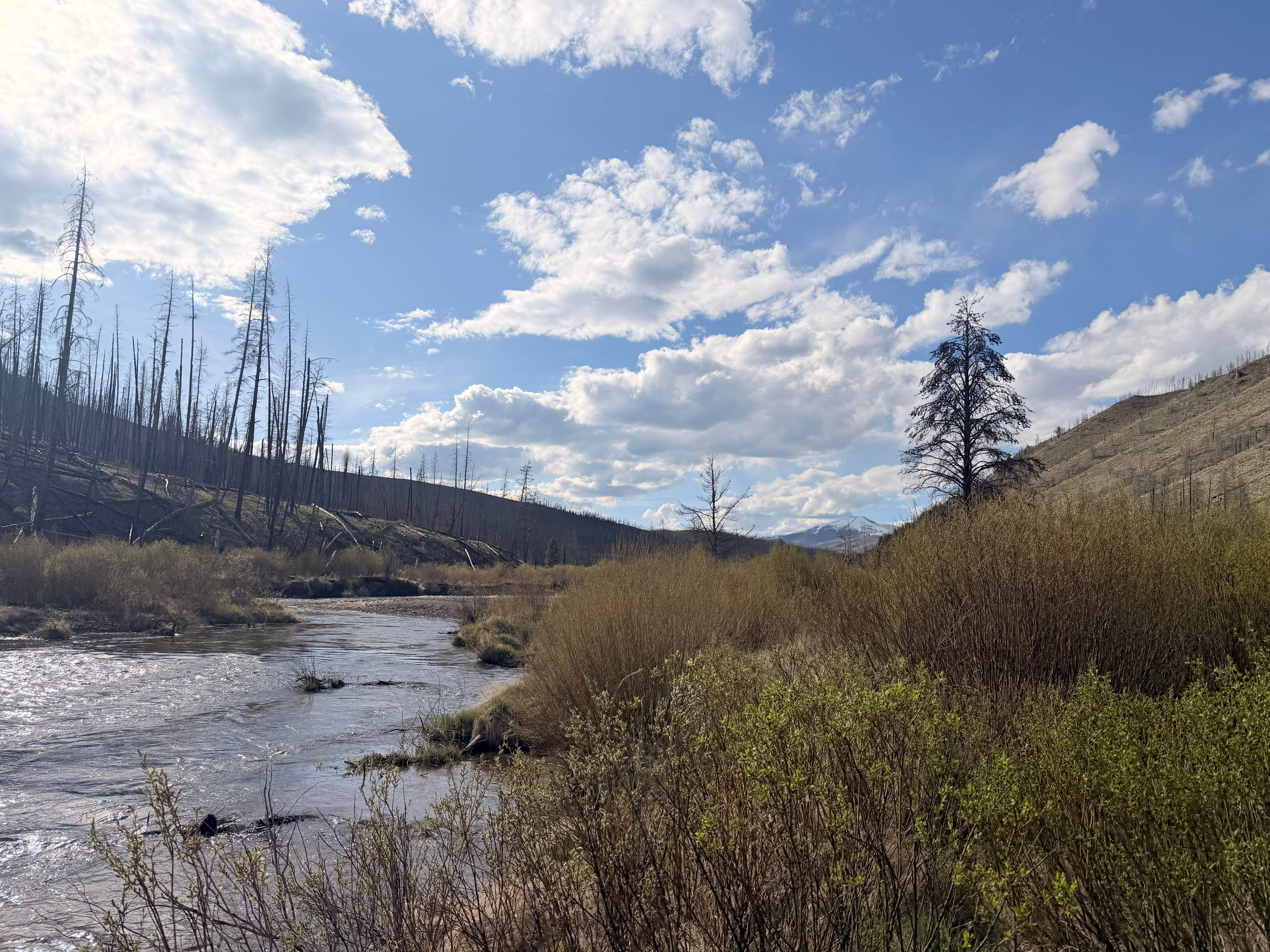Camping near Troublesome Pass Trailhead: Sawmill Gulch Campground, Hot Sulphur Springs, Colorado