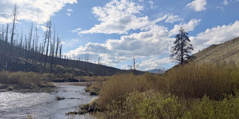 Camper submitted image from Sawmill Gulch Campground