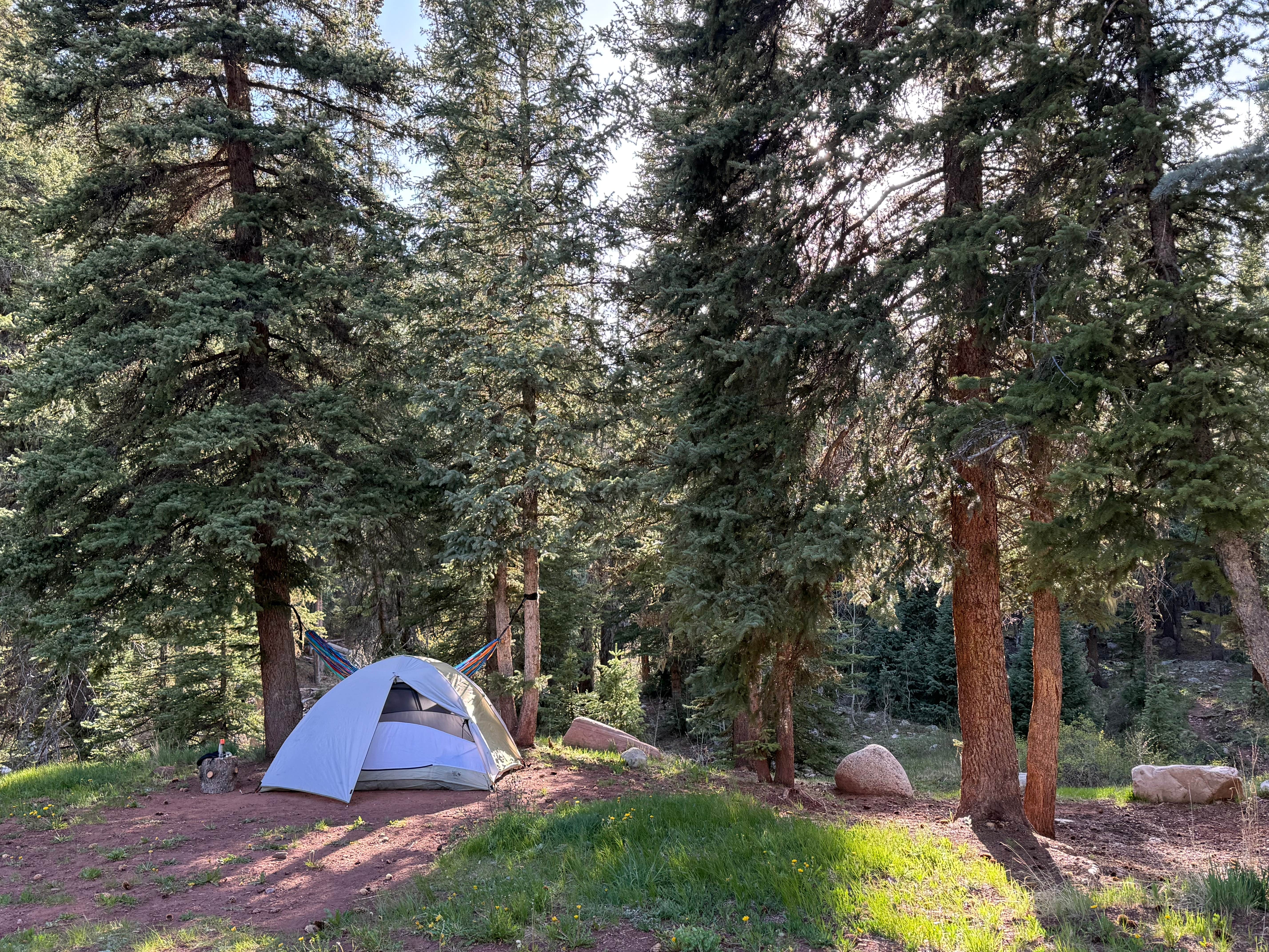 Ashli K.'s photo at Sig Creek Campground near Cascade, CO