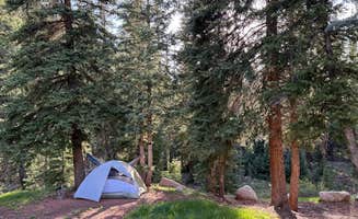 Ashli K.'s photo at Sig Creek Campground near Rico, CO