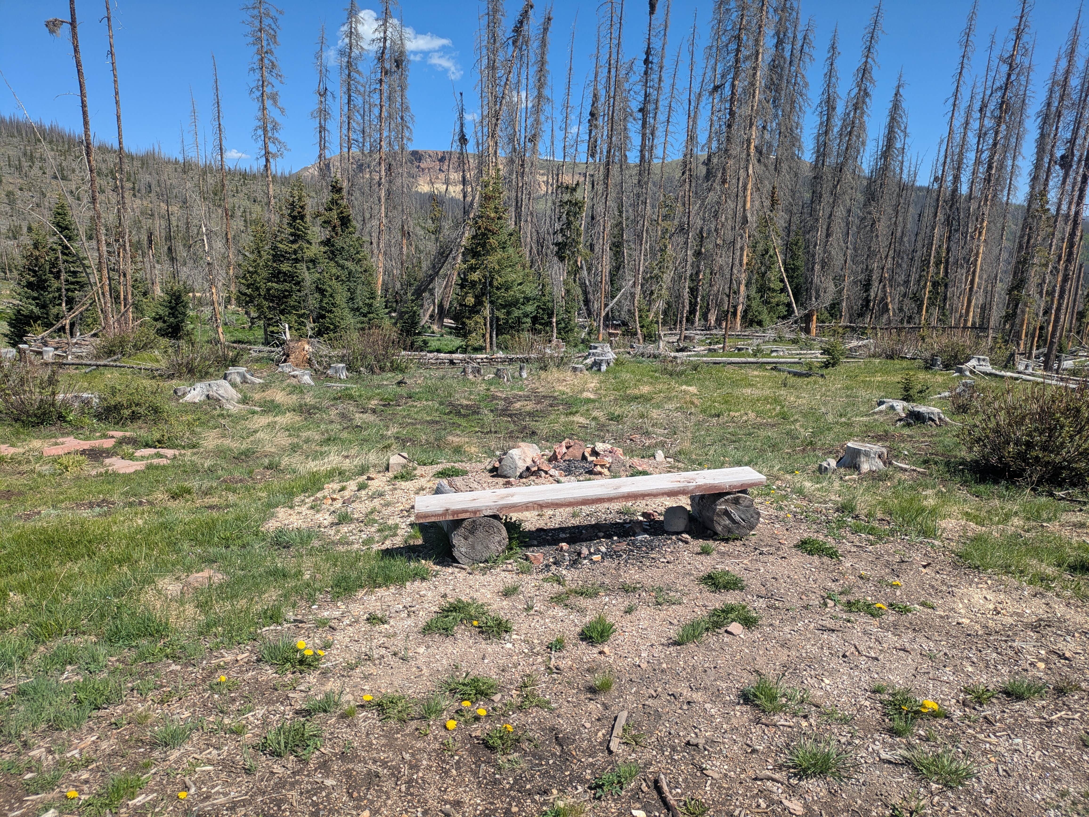 Camper-submitted photo at Slumgullion near City of Creede, CO