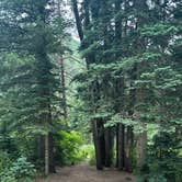 Review photo of Snowslide Campground by Tabitha M., July 8, 2025