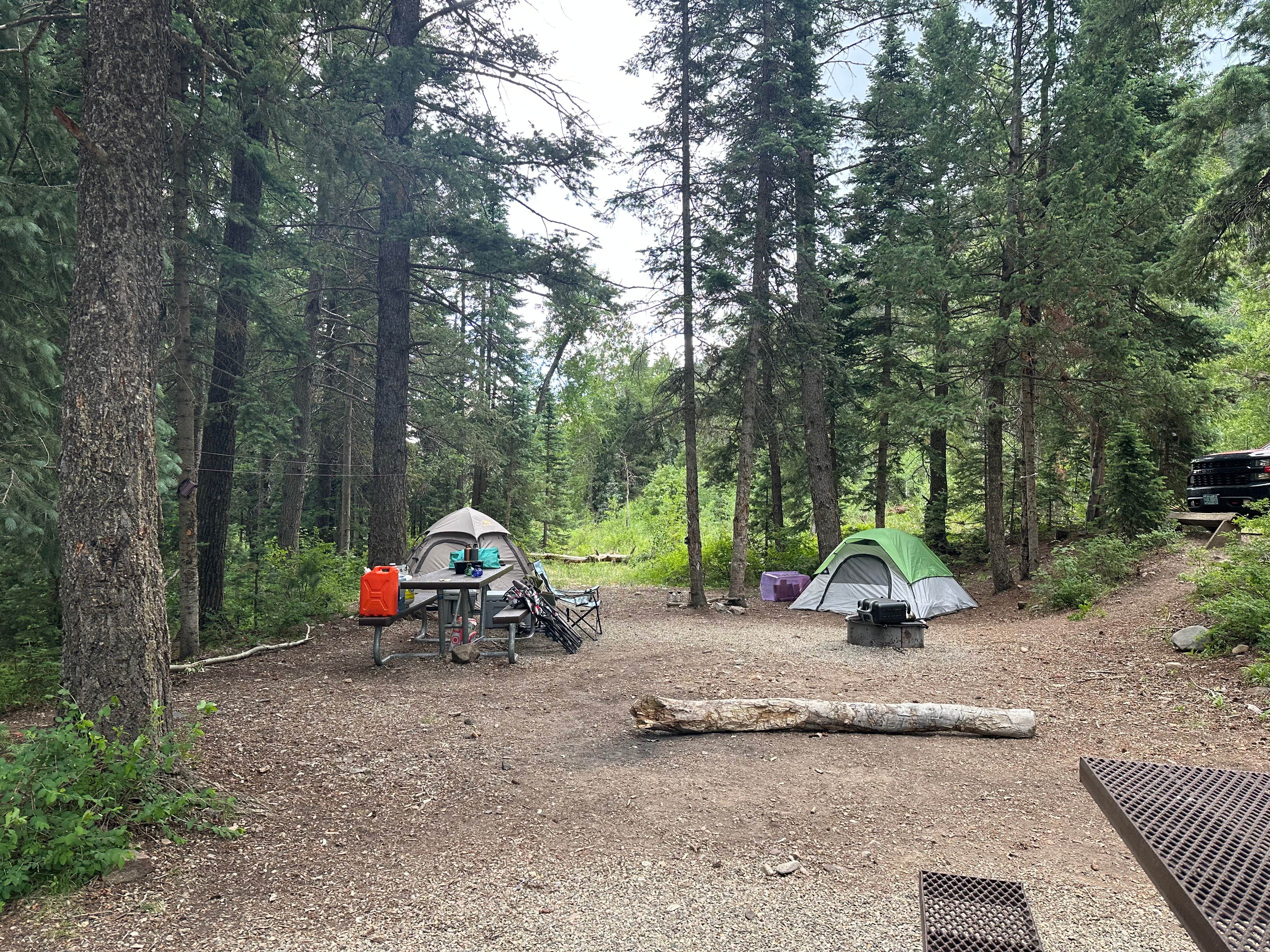 Tabitha M.'s photo at Snowslide Campground near Durango, CO