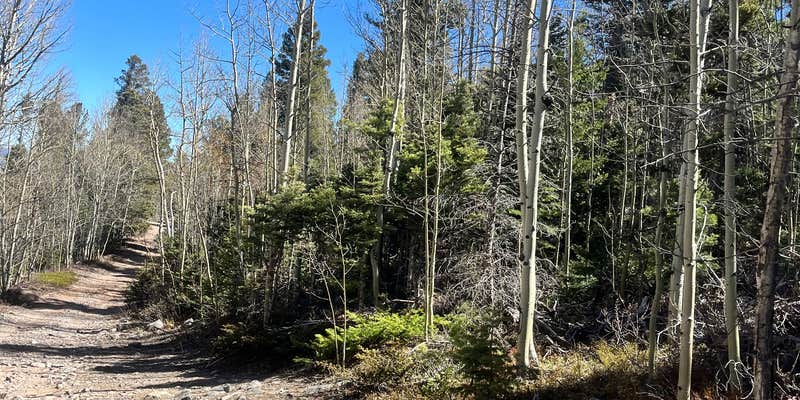 Camper submitted image from South Colony Basin