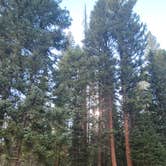 Review photo of South Fork Campground by Julia K., August 10, 2025