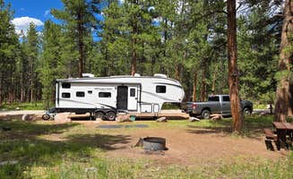 John's photo of camping with pets at South Meadows Campground near Green Mountain Falls, CO
