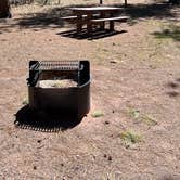 Review photo of South Meadows Campground by johny R., April 24, 2026