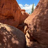 Review photo of South Meadows Campground by Amanda B., August 19, 2024