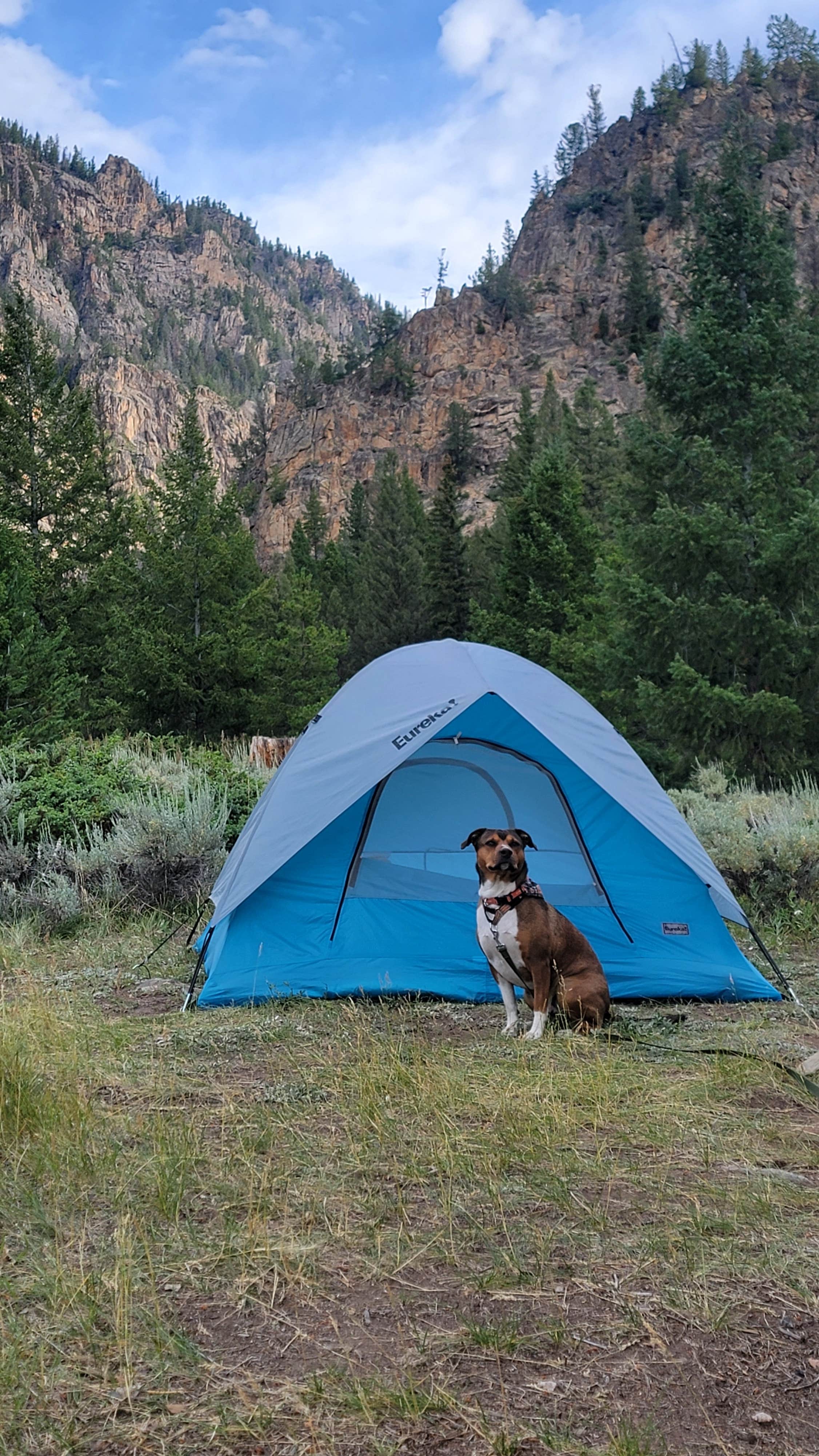 Camper-submitted photo at Spring Creek Campground near Crested Butte, CO