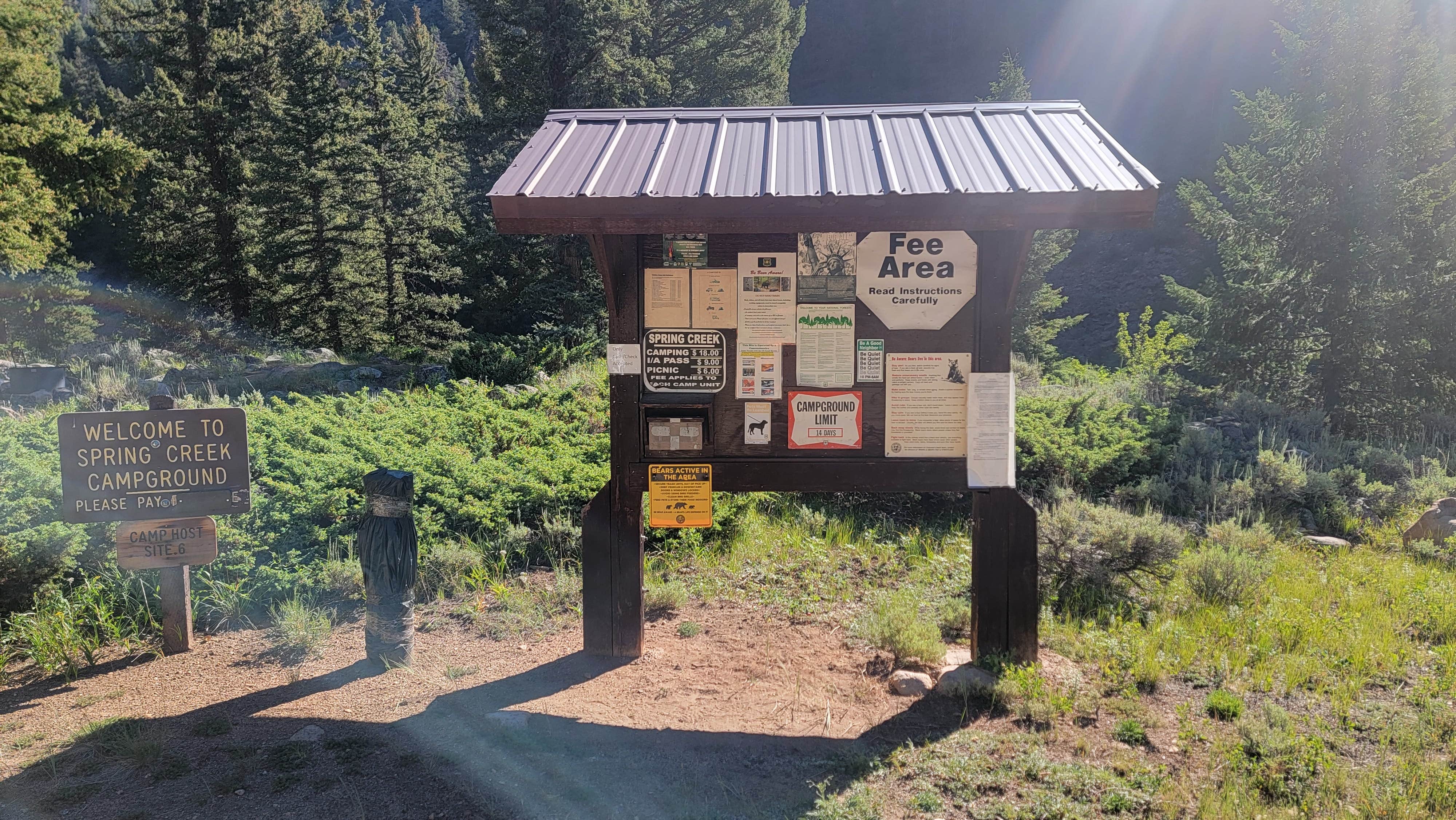 Camper submitted image from Spring Creek Campground - 3