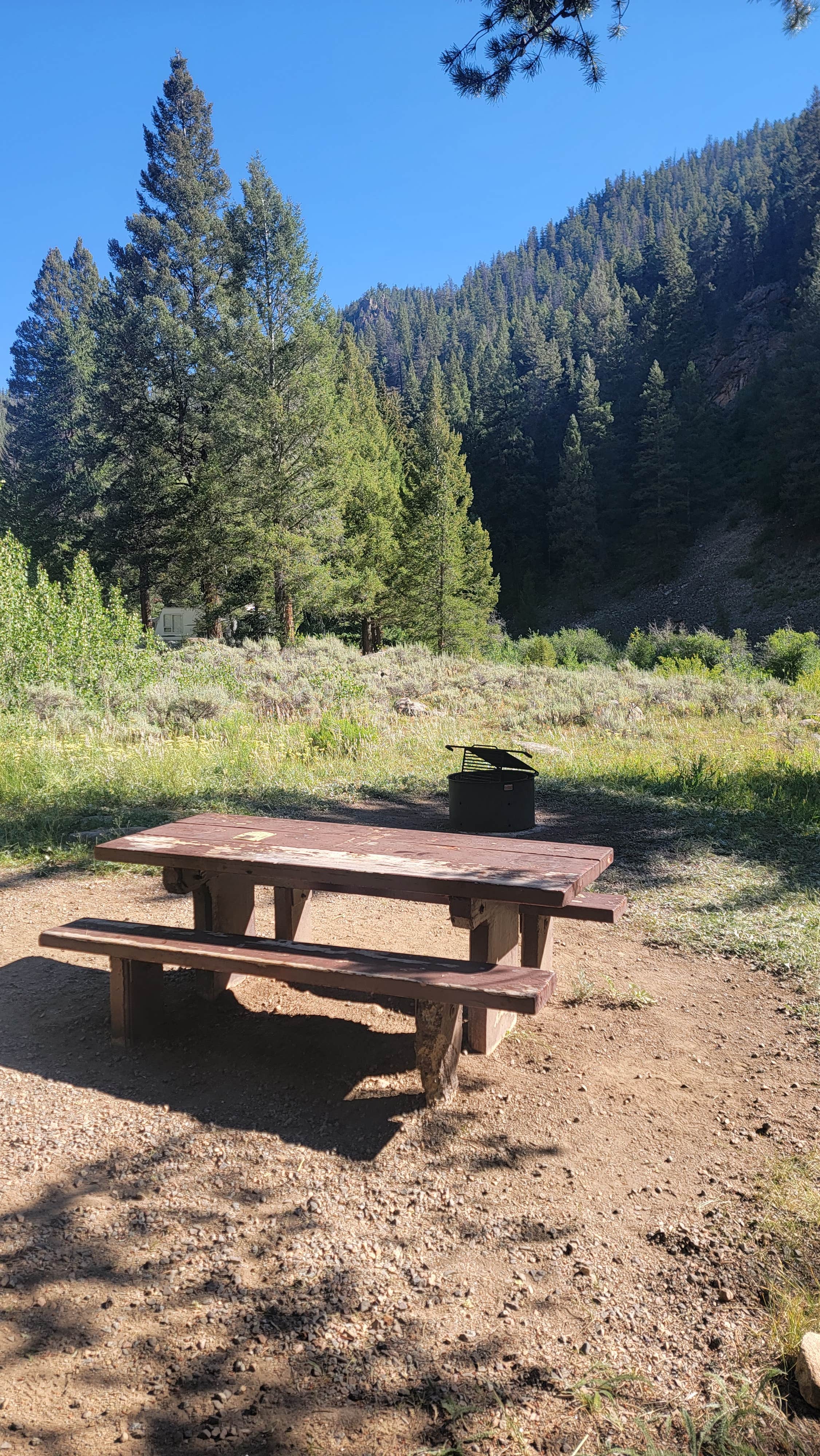 Camper-submitted photo at Spring Creek Campground near Crested Butte, CO