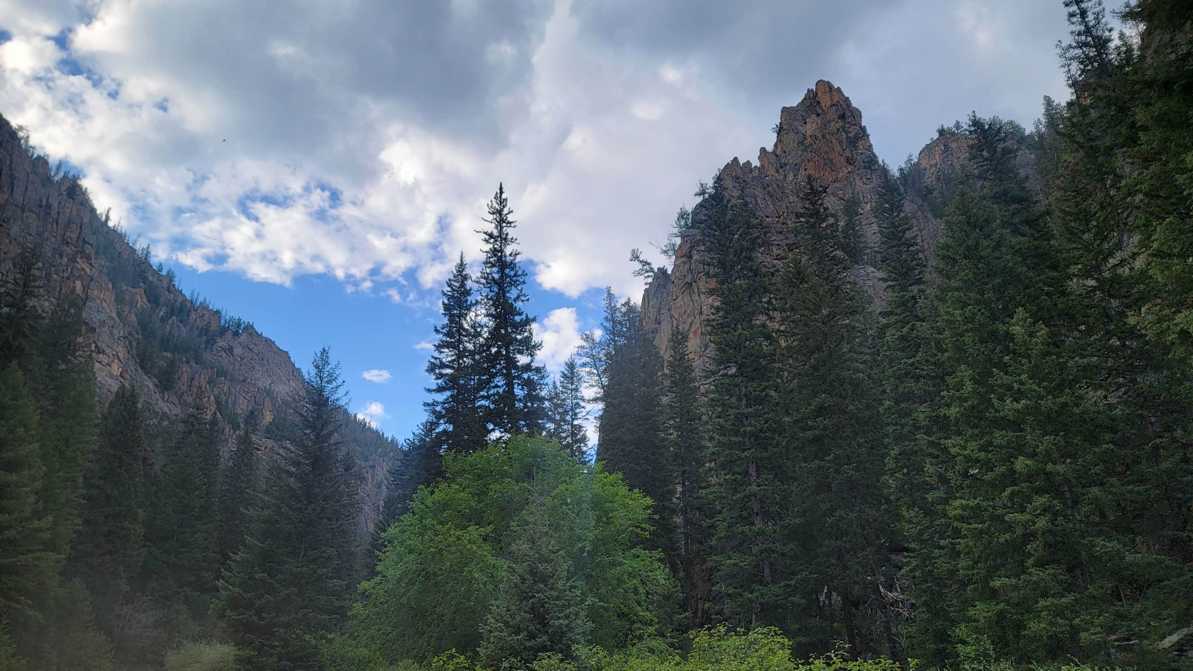 Camper-submitted photo at Spring Creek Campground near Crested Butte, CO