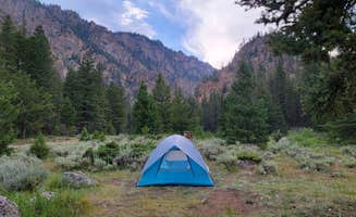 Steve's photo at Spring Creek Campground near Almont, CO