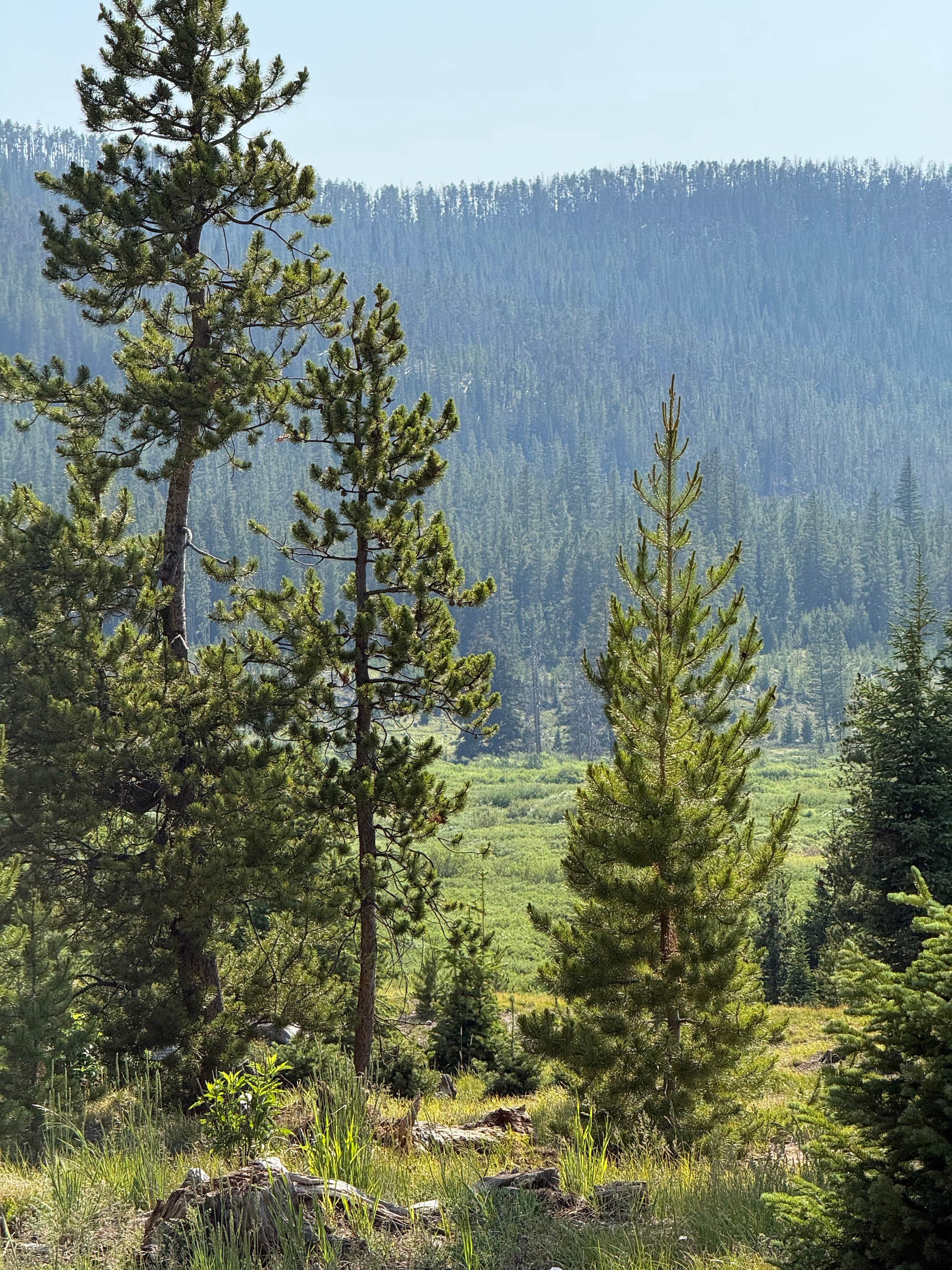 Camper-submitted photo at Ranger Lakes Campground — State Forest State Park near Medicine Bow-Routt National Forests and Thunder Basin National Grassland