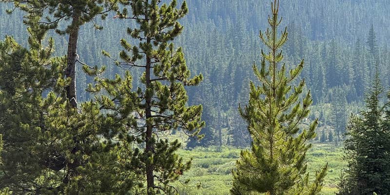 Camper submitted image from Ranger Lakes Campground — State Forest State Park