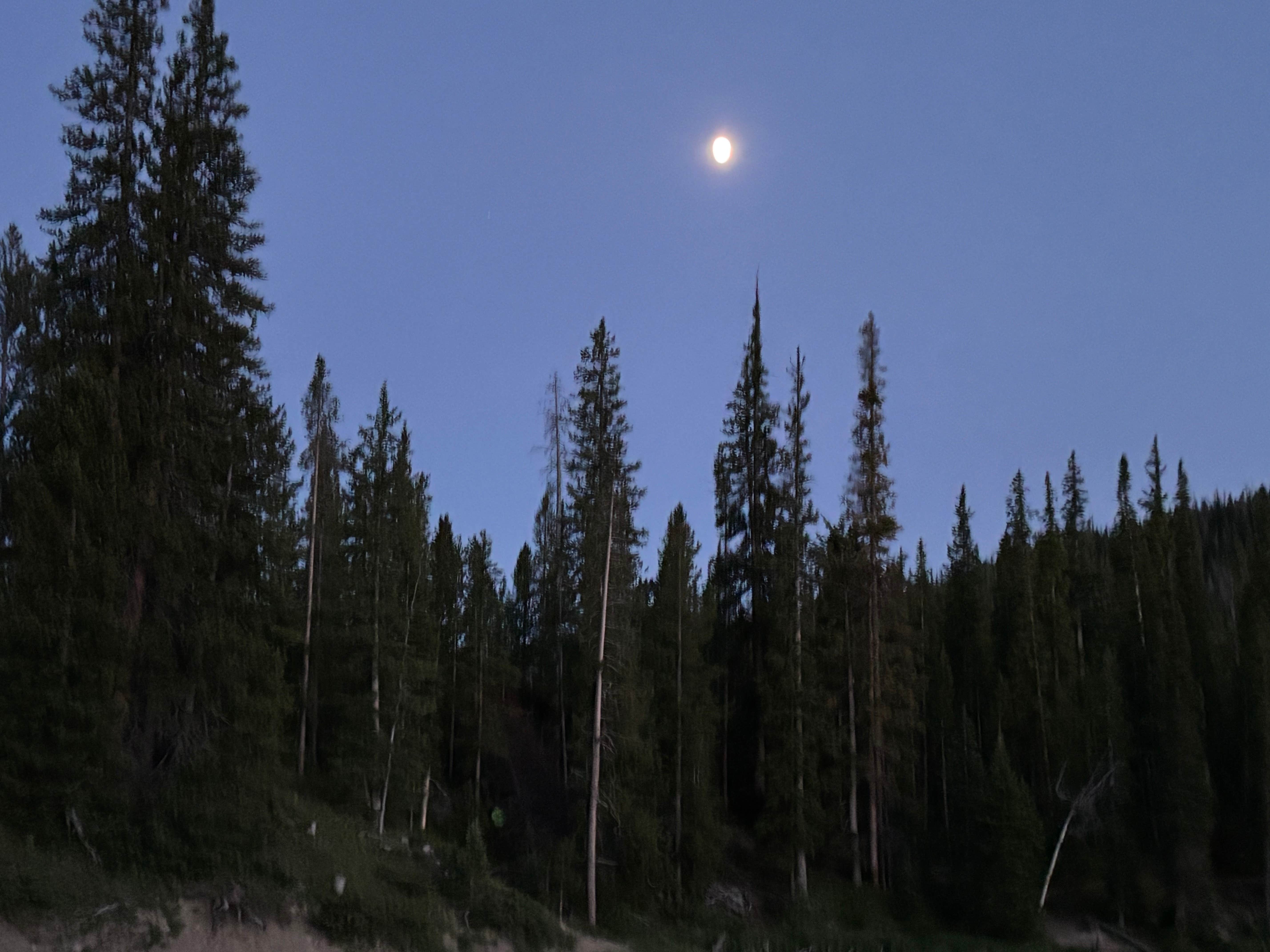 Camper-submitted photo at Ranger Lakes Campground — State Forest State Park near Gould, CO