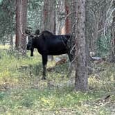 Review photo of Ranger Lakes Campground — State Forest State Park by Michael , September 26, 2023