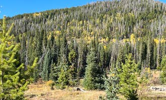 Camping near Timber Creek Campground — Rocky Mountain National Park: Ranger Lakes Campground — State Forest State Park, Rand, Colorado