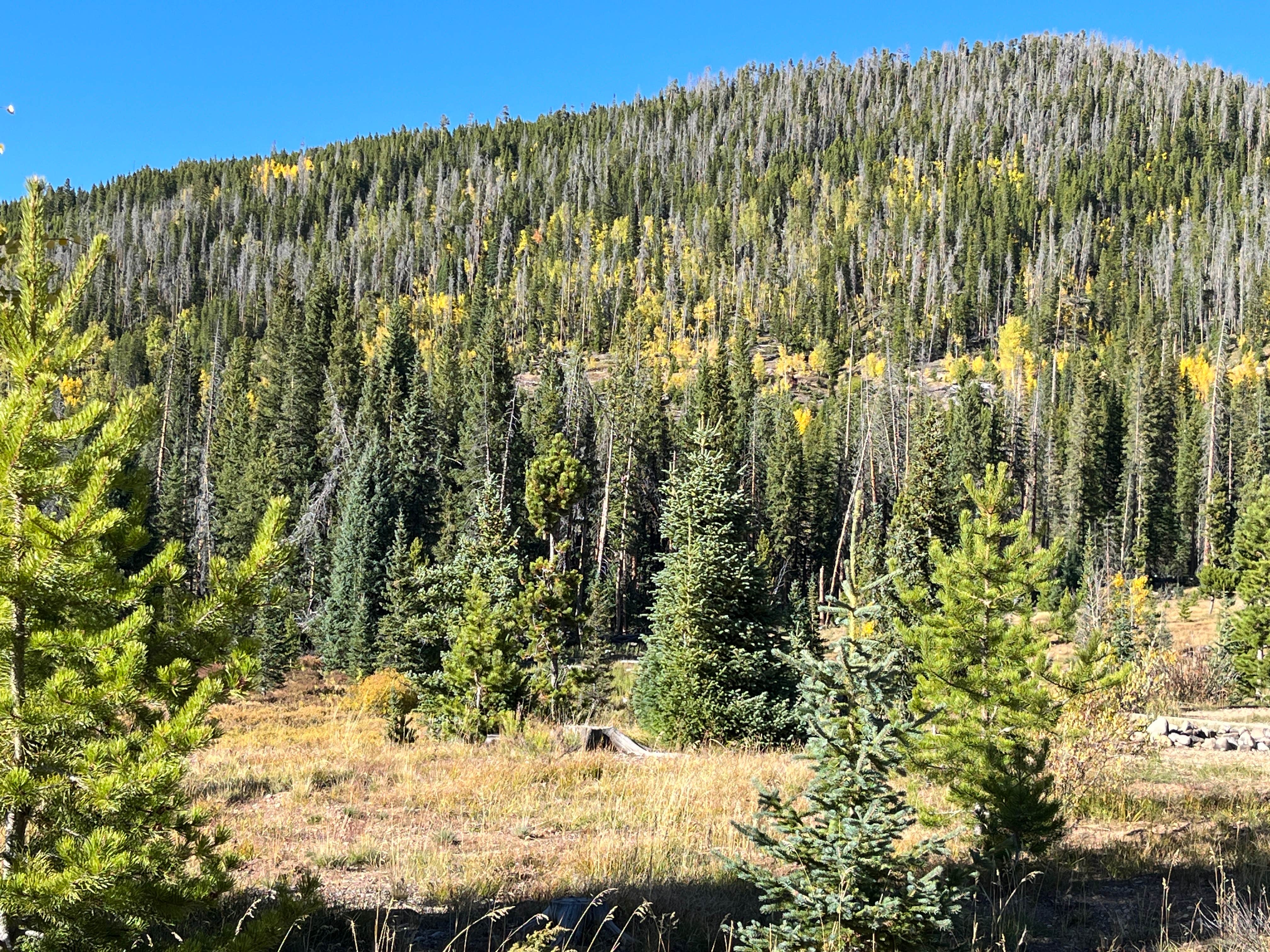 Camper submitted image from Ranger Lakes Campground — State Forest State Park - 1