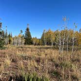 Review photo of Sunrise Vista Campground — Steamboat Lake State Park by Michael , September 27, 2023