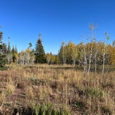 Review photo of Sunrise Vista Campground — Steamboat Lake State Park by Michael , September 27, 2023