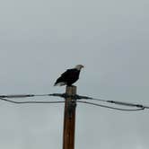Review photo of Stillwater Campground by Deborah L., October 1, 2026