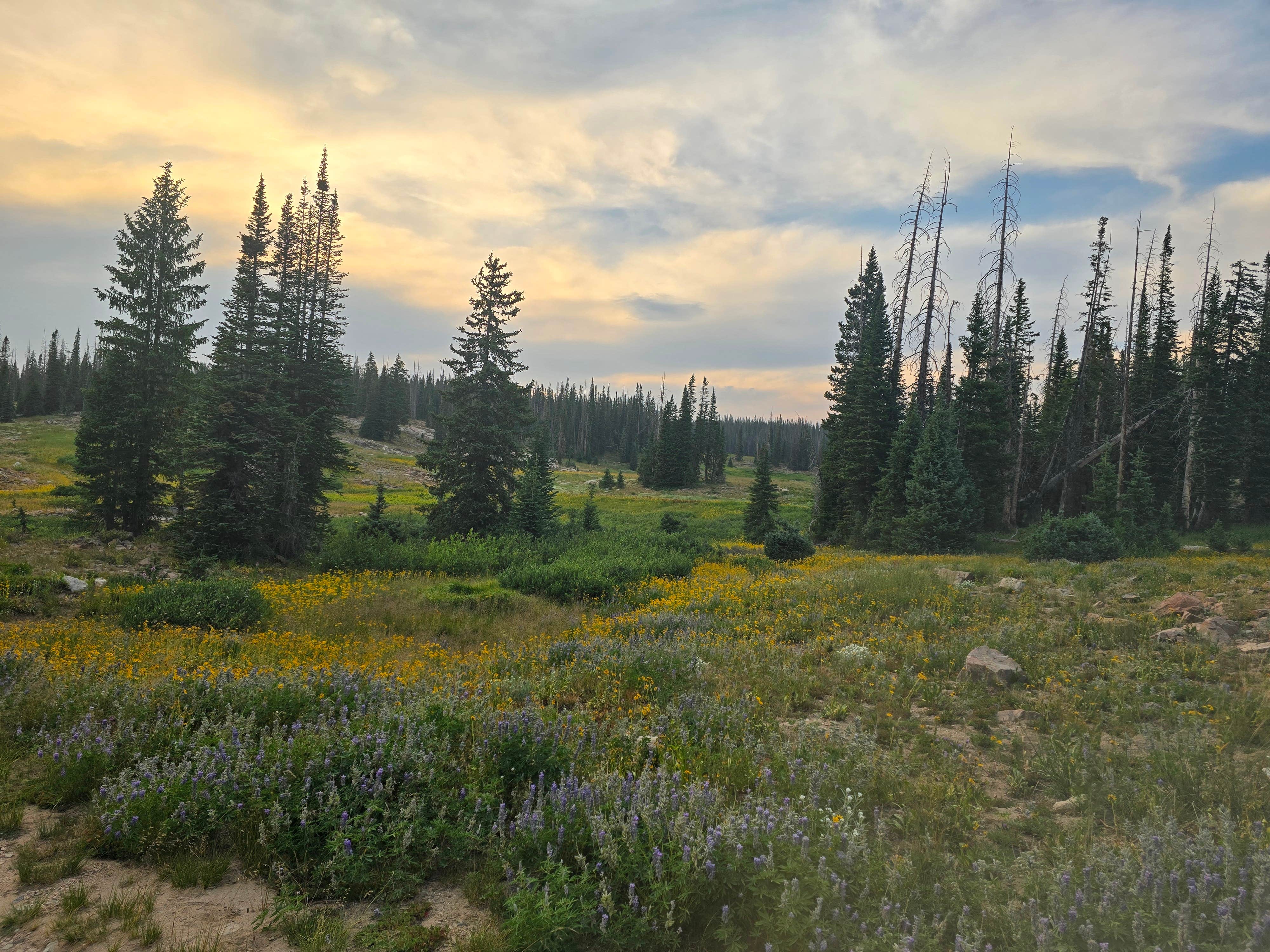 Camper-submitted photo at Summit Lake near Steamboat Springs, CO