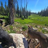 Review photo of Summit Lake by Ezraz , July 15, 2026