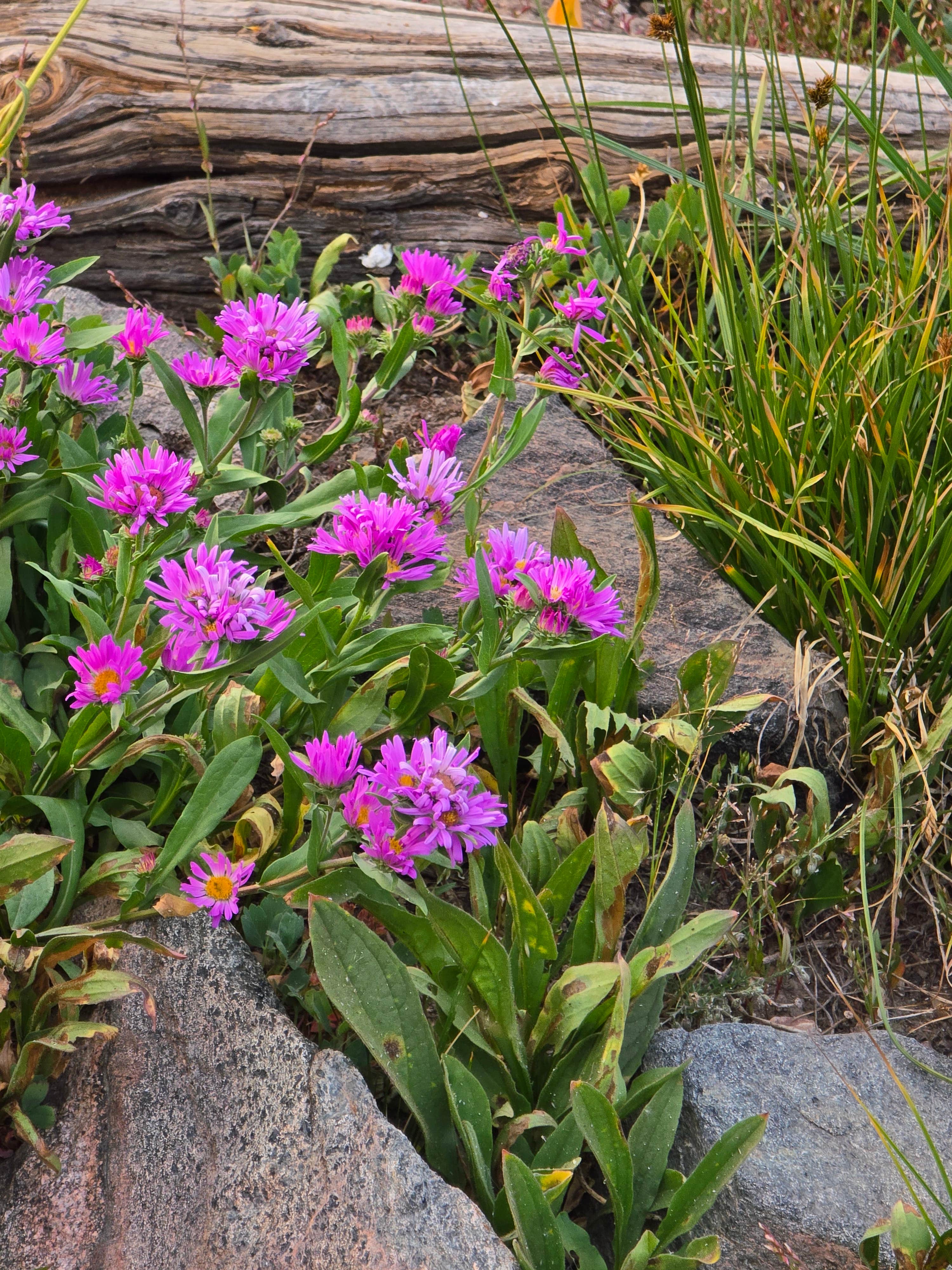 Camper-submitted photo at Summit Lake near Steamboat Springs, CO