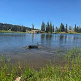 Review photo of Summit Lake by Ezraz , July 15, 2026