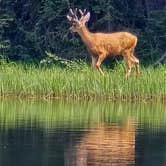 Review photo of Summit Lake by Ezraz , July 15, 2026