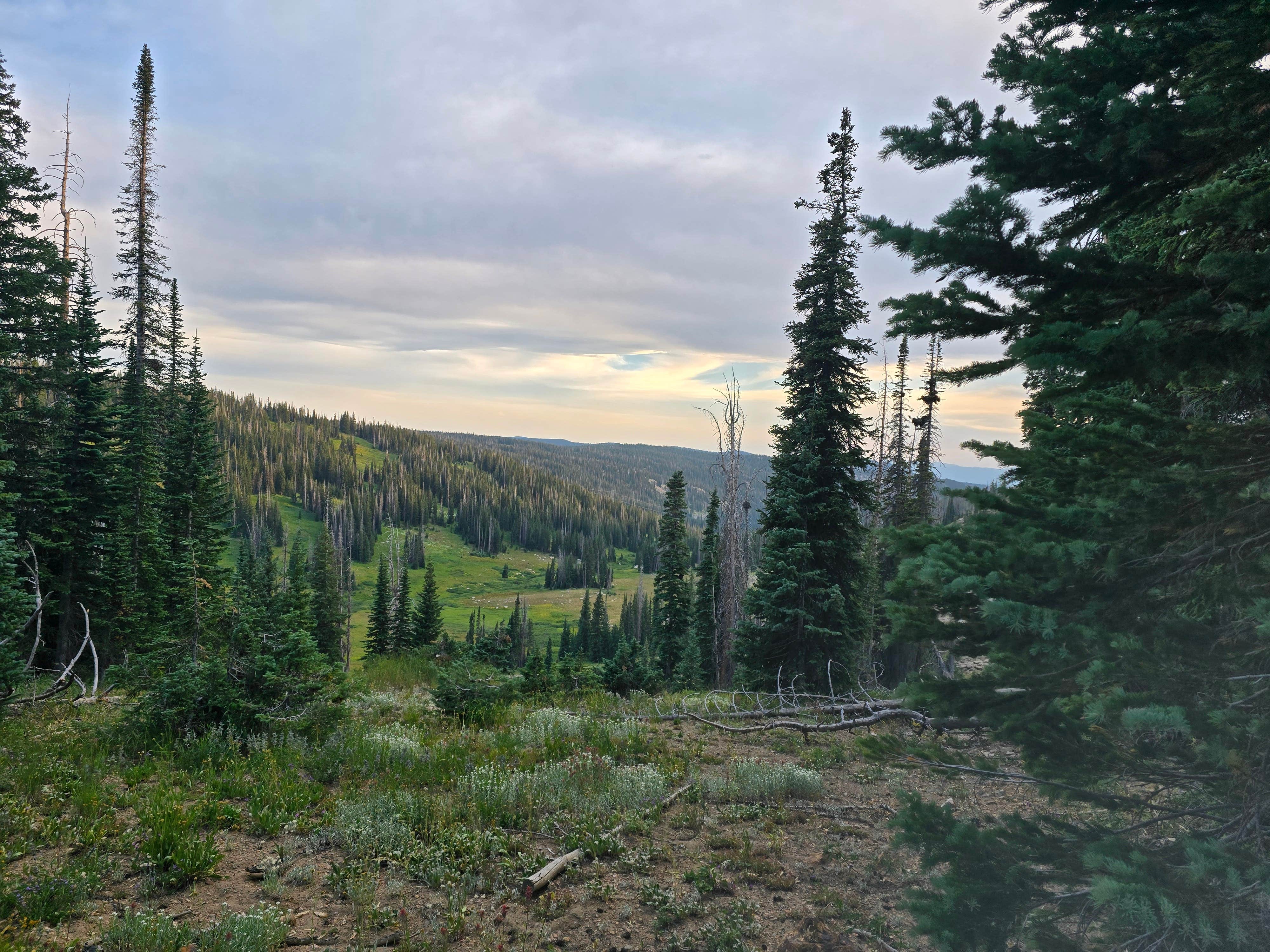 Camper-submitted photo at Summit Lake near Steamboat Springs, CO